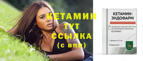 трава Кодинск