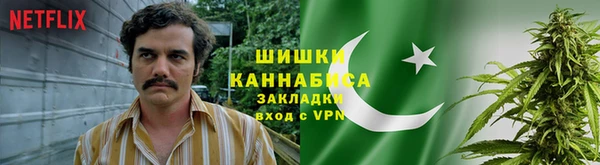 трава Кодинск