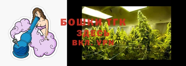 трава Кодинск
