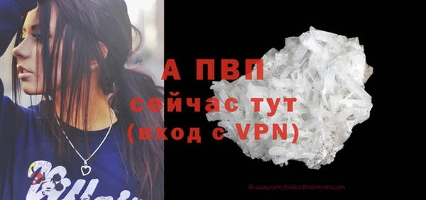 трава Кодинск