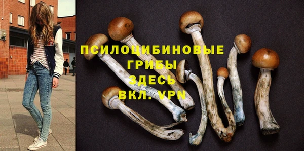 меф Козельск
