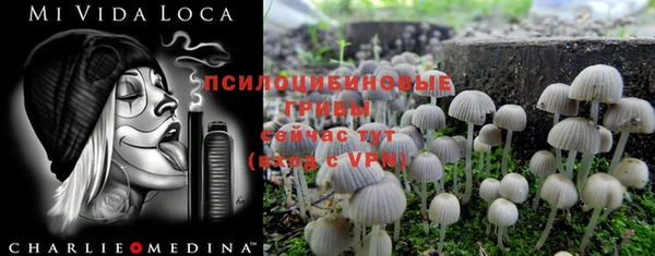 трава Кодинск