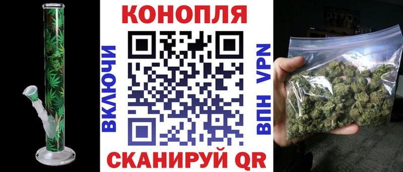 Канабис сатива  Купить закладки  Бабаево 